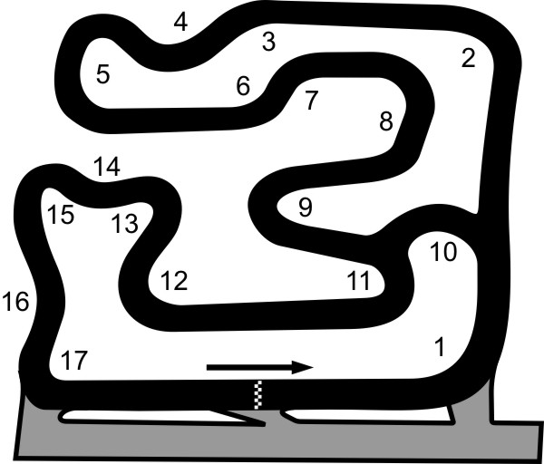 Raceland Hitri Dirkač